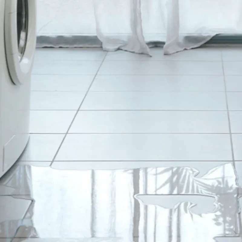 Appliance Leak Cleanup in Iva, SC