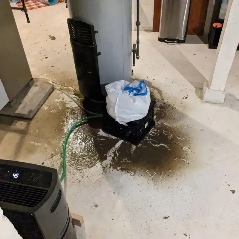 Sewage Backup Cleanup Service in Iva, SC
